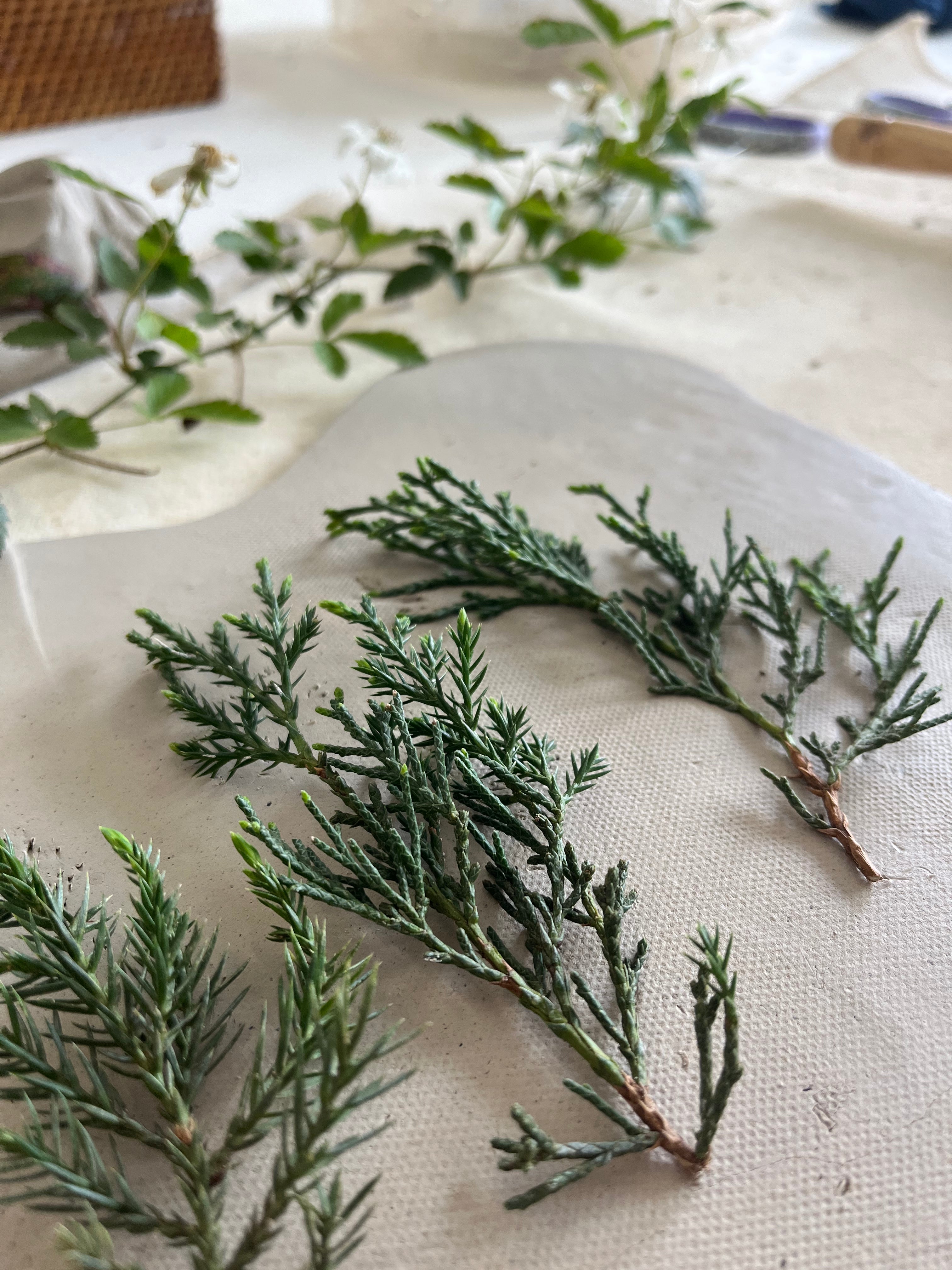 The Art of Slow Living